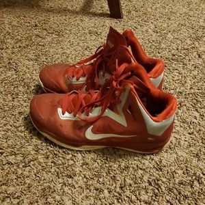Nike Lebron Zoom